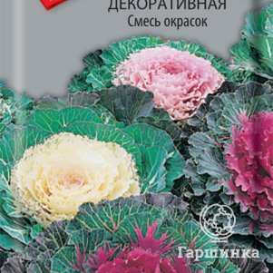 

Семена Капуста декоративная Смесь окрасок 0,25, Поиск
