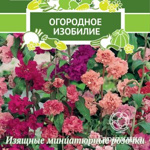 

Семена Кларкия изящная Очарование 0,2, Поиск