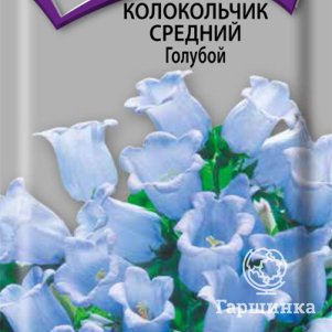 

Семена Колокольчик средний Голубой 0,2, Поиск