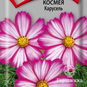 

Семена Космея Карусель 0,2, Поиск