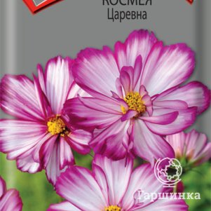 

Семена Космея Царевна 0,1, Поиск