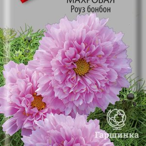 

Семена Космея махровая Роуз бонбон 0,1, Поиск