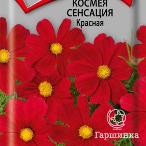

Семена Космея Сенсация Красная 0,3, Поиск