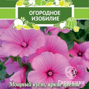 

Семена Лаватера Лада 0,3, Поиск