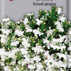 

Семена Лобелия эринус Белый дворец 0,1, Поиск