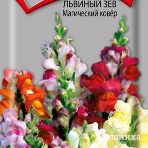 

Семена Львиный зев Магический ковер 0,3, Поиск