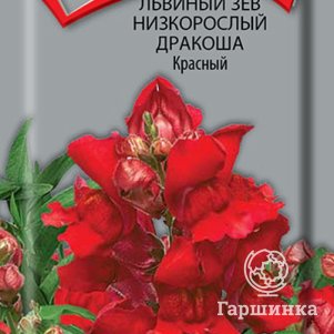 

Семена Львиный зев низкорослый Дракоша Красный 0,02, Поиск