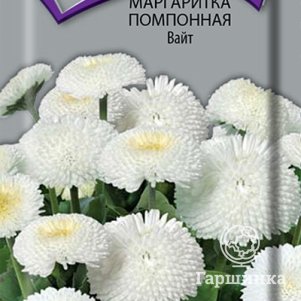 

Семена Маргаритка помпонная Вайт 0,05, Поиск