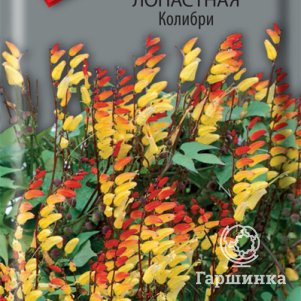 

Семена Мина лопастная Колибри 0,1, Поиск