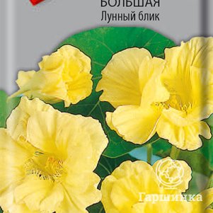 

Семена Настурция большая Лунный блик 1, Поиск