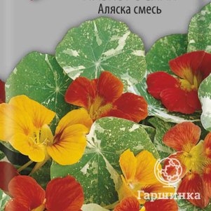 

Семена Настурция низкорослая Аляска смесь 1, Поиск