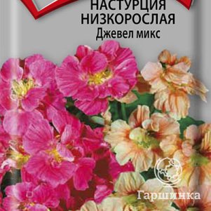 

Семена Настурция низкорослая Джевел микс 2, Поиск