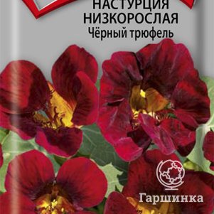 

Семена Настурция низкорослая Черный трюфель 1, Поиск