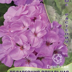 

Семена Пеларгония зональная Люстра Лавендер 5, Поиск