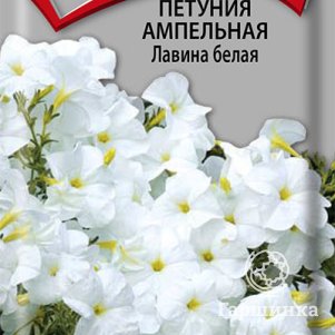 

Семена Петуния ампельная Лавина белая 10, Поиск