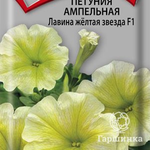 

Семена Петуния ампельная Лавина желтая звезда F1 10, Поиск