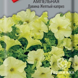 

Семена Петуния ампельная Лавина Желтый каприз 10, Поиск