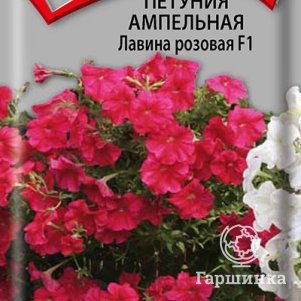 

Семена Петуния ампельная Лавина розовая F1 10, Поиск