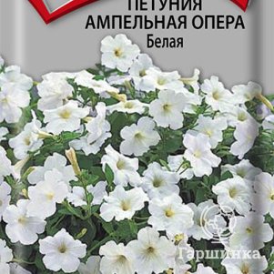 

Семена Петуния ампельная Опера Белая 5, Поиск