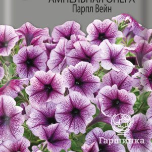 

Семена Петуния ампельная Опера Парпл Вейн 5, Поиск