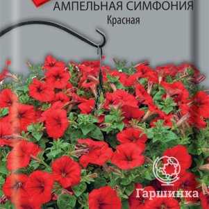 

Семена Петуния ампельная Симфония Красная 0,01, Поиск