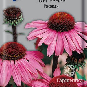 

Семена Рудбекия пурпурная Розовая 0,1, Поиск