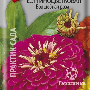 

Семена Цинния георгиноцветковая Волшебная роза 0,4, Поиск
