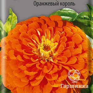 

Семена Цинния георгиноцветковая Оранжевый король 0,4, Поиск