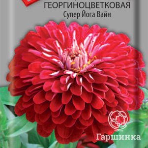 

Семена Цинния георгиноцветковая Супер Йога Вайн 0,4, Поиск