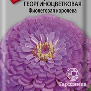 Семена Цинния георгиноцветковая Фиолетовая королева 0,4