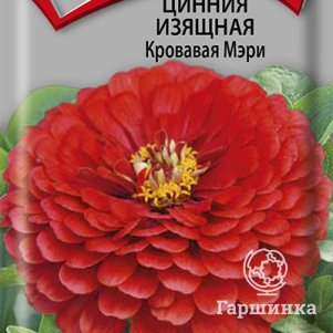 

Семена Цинния изящная Кровавая Мэри 0,4, Поиск