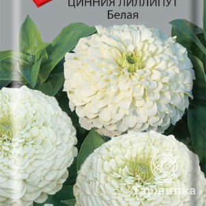 

Семена Цинния лиллипут Белая 0,4, Поиск