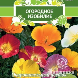 

Семена Эшшольция Мираж 0,2, Поиск