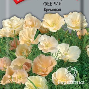 

Семена Эшшольция Феерия Кремовая 0,1, Поиск