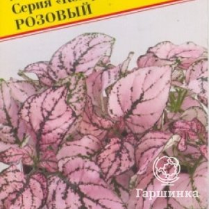 

Семена Гипоестес "Конфетти" Розовый 5 шт, Престиж
