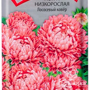 

Семена Астра низкорослая Лососевый ковер 0,2, Поиск