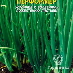 Семена Лук на зелень Перформер, 80 шт, Плазменные семена