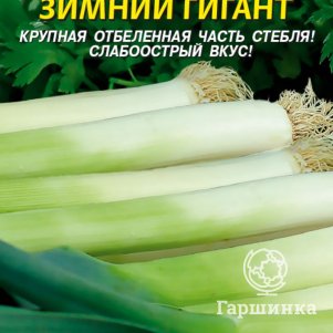 

Семена Лук порей Зимний гигант, 0,5 гр, Плазменные семена