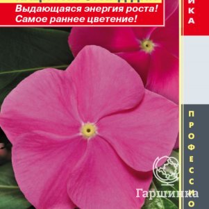 Семена Катарантус розовый (Барвинок) Пацифик Орхид Дип, 8 шт, Плазменные семена - фото 1