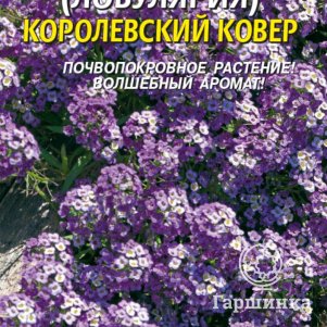 

Семена Алиссум (Лобулярия) Королевский ковер, 0,1гр, Плазменные семена