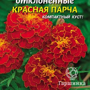 

Семена Бархатцы отклоненные Красная парча, 45 шт, Плазменные семена