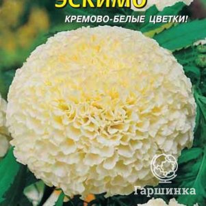 

Семена Бархатцы Эскимо, 10 шт, Плазменные семена