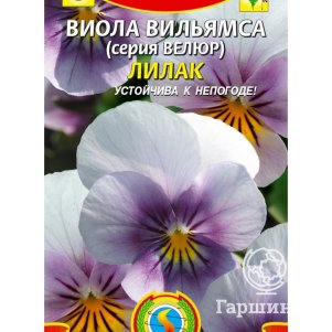 

Семена Виола вильямса (серия Велюр) Лилак, 10 шт, Плазменные семена