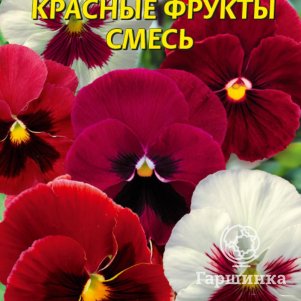 

Семена Виола Красные фрукты смесь, 0,05 гр, Плазменные семена