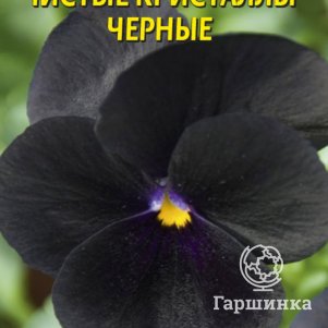 

Семена Виола Чистые кристаллы черные, 0,1 гр, Плазменные семена