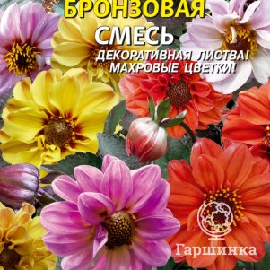 Семена Георгина Бронзовая смесь, 12 шт