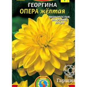Семена Георгина Опера желтая, 11 шт - фото 1