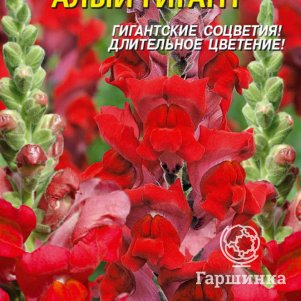 

Семена Львиный зев Алый гигант, 0,1гр, Плазменные семена