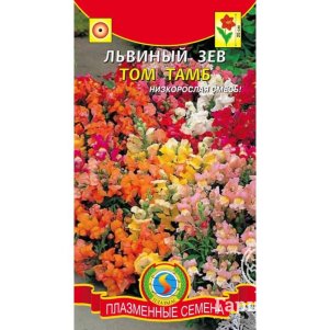 

Семена Львиный зев Том Тамб, 0,2 гр, Плазменные семена
