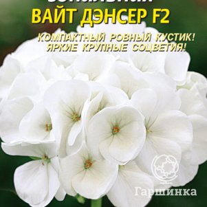 Семена Пеларгония зональная Вайт Дэнсер F2, 3 шт, Плазменные семена